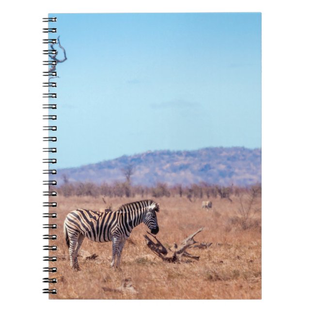 Carnet Zèbre des plaines dans le parc national de Kruger, (Devant)