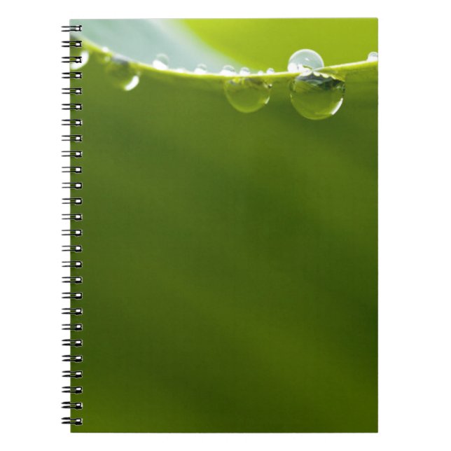 Carnet Zen Love Green Lotus Leaf Water Drop (Devant)