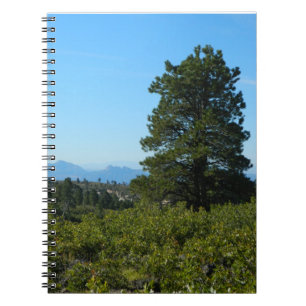 Carnet Zion Ponderosa