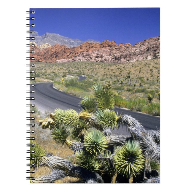 Carnet Zone nationale de conservation de Red Rock Canyon, (Devant)