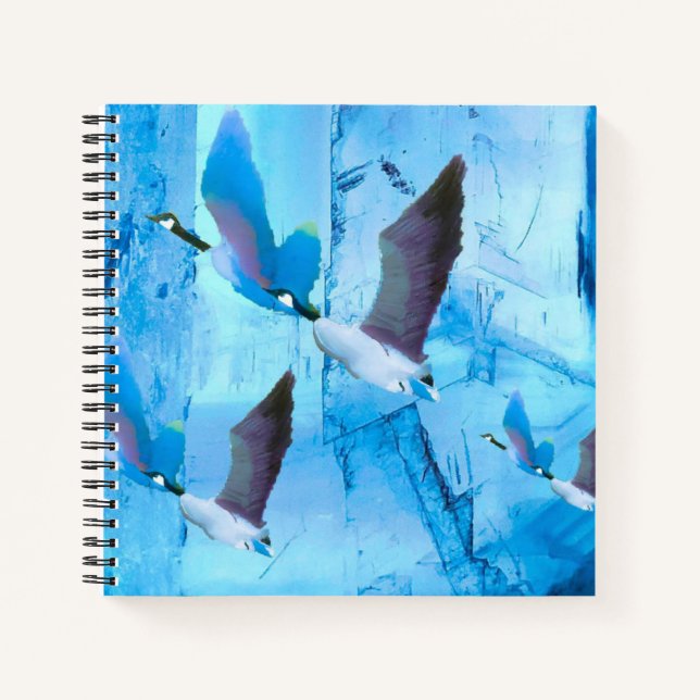 Carnets aux oies bleues (Devant)