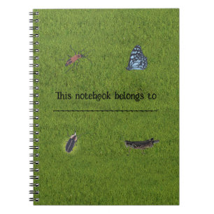Carnets d'insectes personnalisés