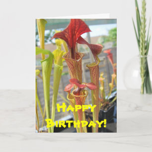 Carnivore Plante carte d'anniversaire