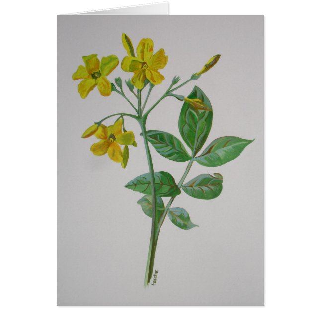 Carolina Jasmine Botanique Art (Devant)