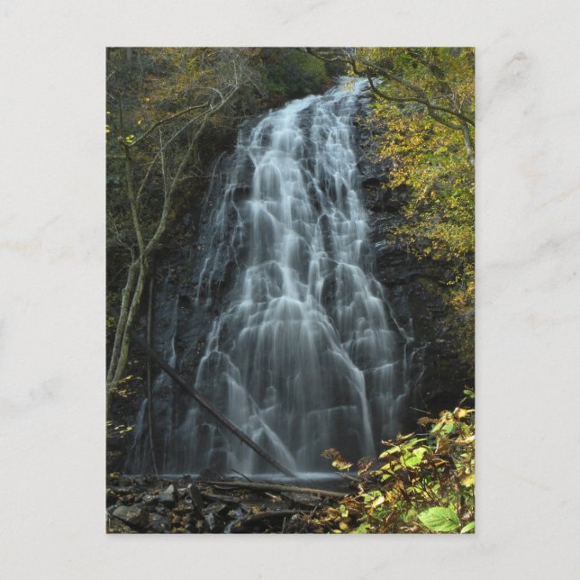 Carolina Mountain Waterfall Photo Carte postale (Devant)