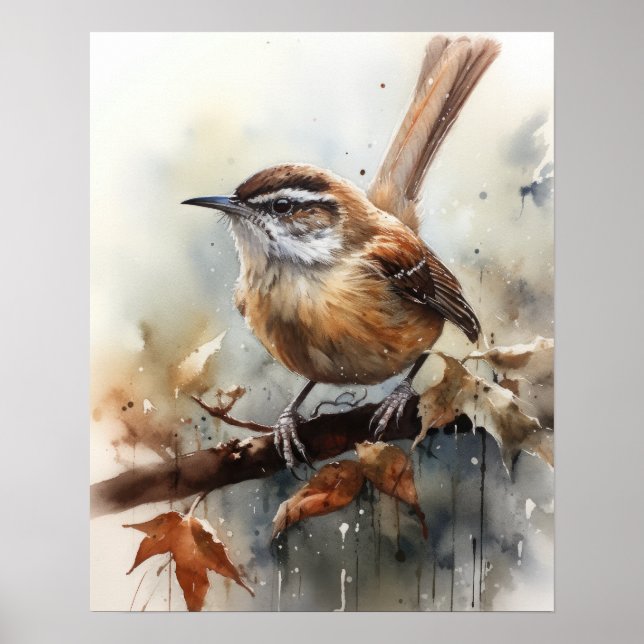 Carolina Wren Oiseau Art Imprimer Poster (Devant)