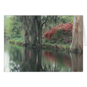 Caroline du Sud, Charleston