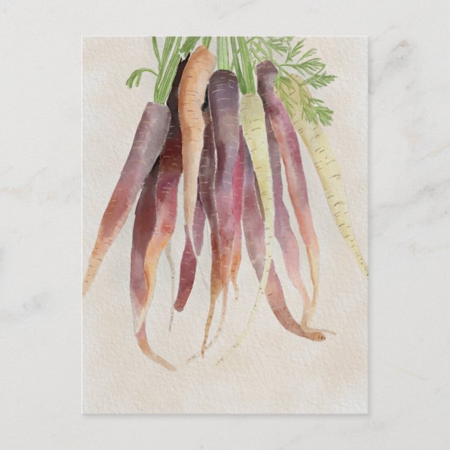 Carottes, carte postale 5x7 (Devant)