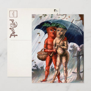 Carottes victoriennes dans la carte postale pluie