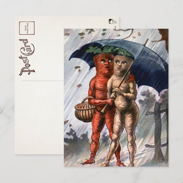 Carottes victoriennes dans la carte postale pluie  (Devant / Derrière)