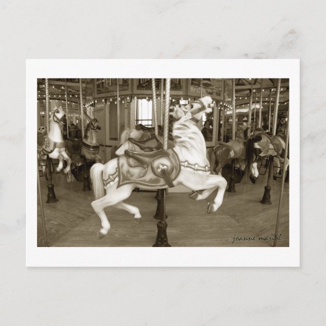Carousel 41 Carte postale (Devant)