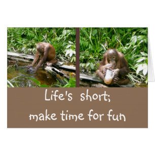 Carpe Diem apprécient la vie