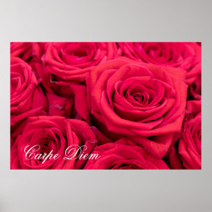 Carpe Diem personnalisable avec Poster de roses ro