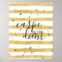 Carpe the f'ing Diem Poster