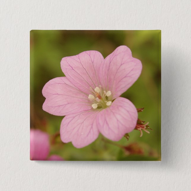 Carré 5 Cm Badge Géranium Rose (Devant)