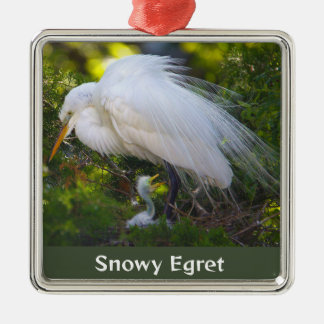 Carré Argenté Aigrette neigeuse avec ornement bébé