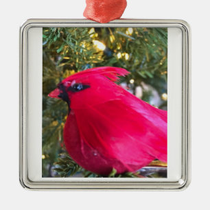CARRÉ ARGENTÉ ***BELLE CARDINAL*** ORNEMENT D'AMOUR DE NOËL