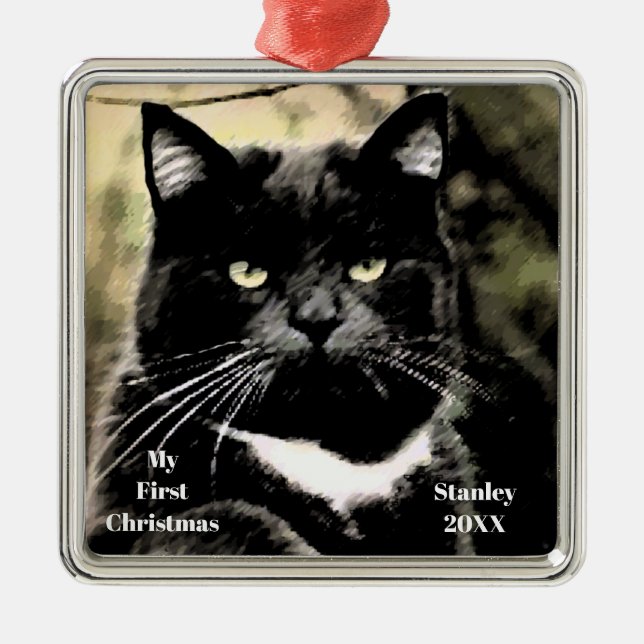 Carré Argenté Chat d'argent Mon premier ornement photo de Noël (Devant)