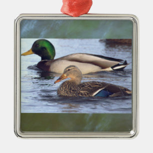 Carré Argenté Ornement Canards Colvert 