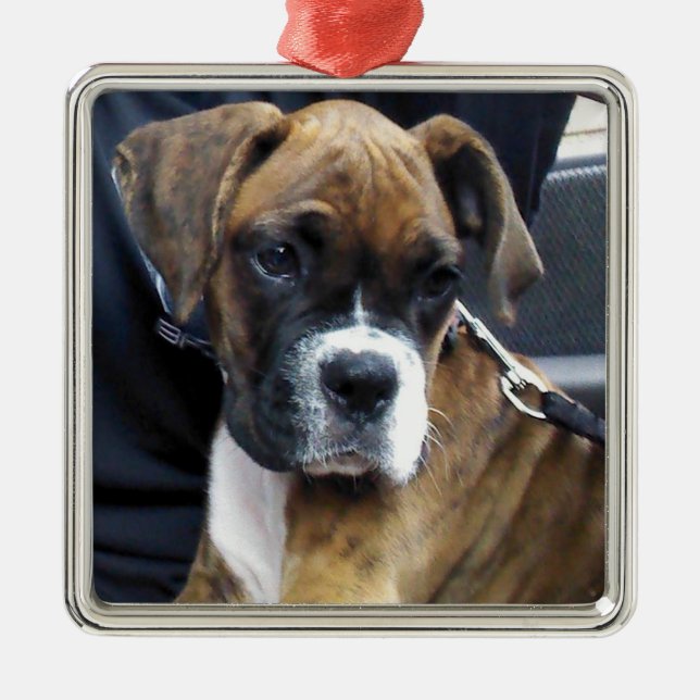 Carré Argenté ornement de CHIOT BOXER (Devant)