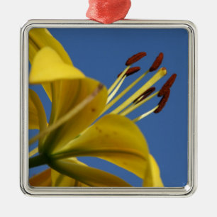 Carré Argenté Ornement Lily jaune