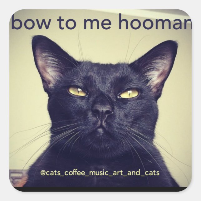 Carré Batcat : arc à moi hooman Sticker (Devant)