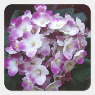 Carré Beau Sticker Flower Set