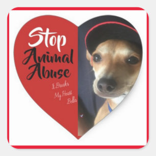CARRÉ BELLA'S STOP ANIMAL ABUSE STICKER