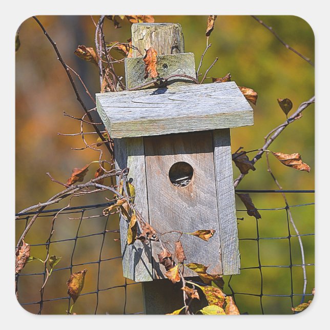 Carré Birdhouse En Sticker Automne (Devant)