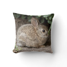Carré Bunny Coussin