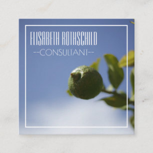 Carré Carte de visite à citron biologique personnalisé