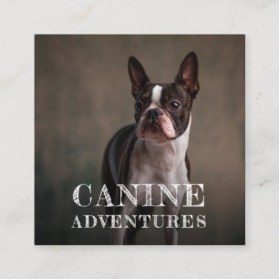 Carré Carte de visite Aventures de chiens et march