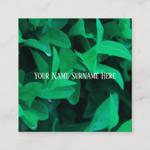 Carré Carte de visite de feuilles de plante vert pâle de