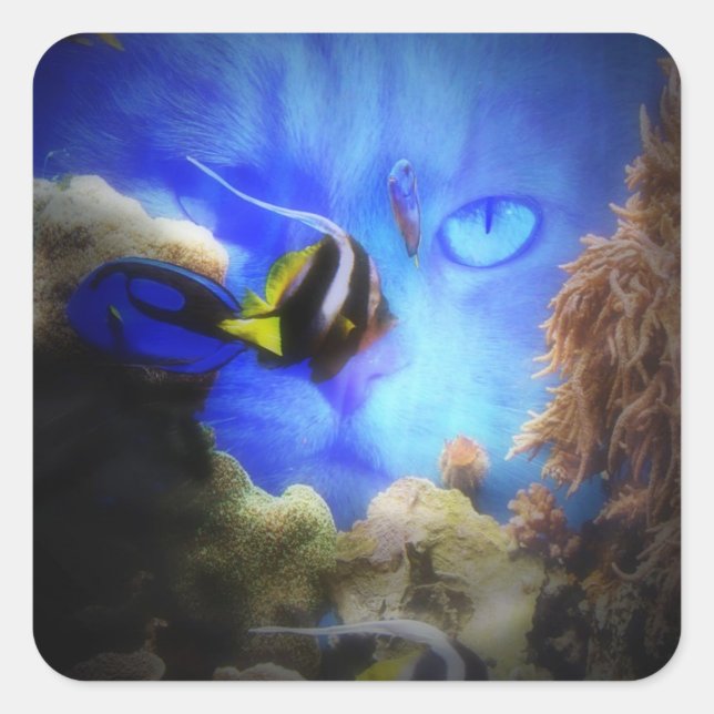 Carré Chat et poisson mignonne et drôle Sticker (Devant)