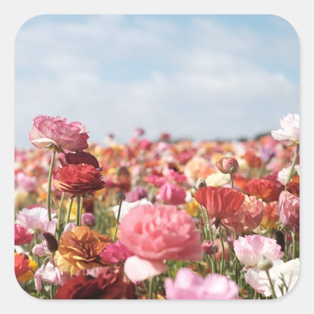 Carré Colorful spring flower sticker (Devant)
