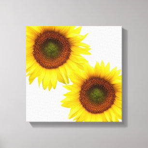 Carré de toile enrobée de tournesol