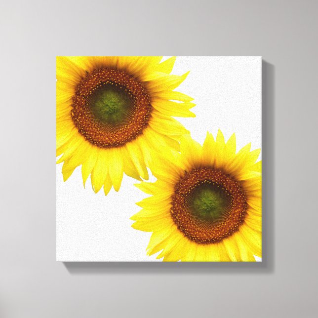 Carré de toile enrobée de tournesol (Recto)
