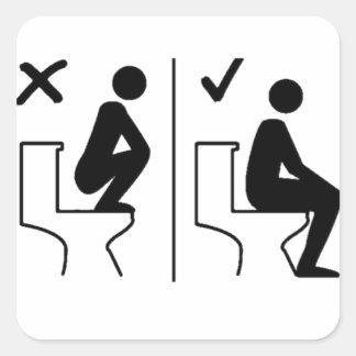 Carré Drôle ne pas se tenir sur le Sticker des toilettes