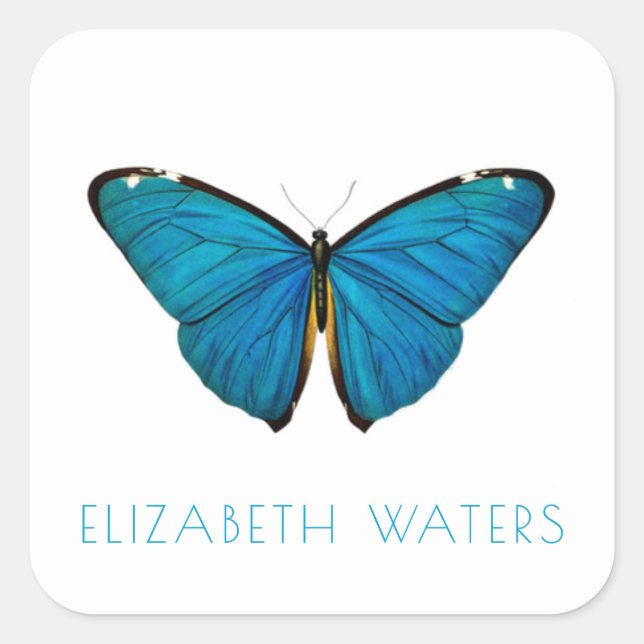 CARRÉ ENVELOPE SEAL STICKER : BLEU BUTTERFLY (Devant)