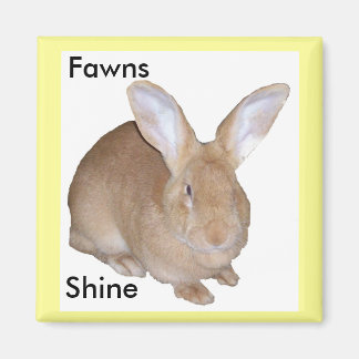 Carré Fawn Flamand Giant Rabbit Magnet