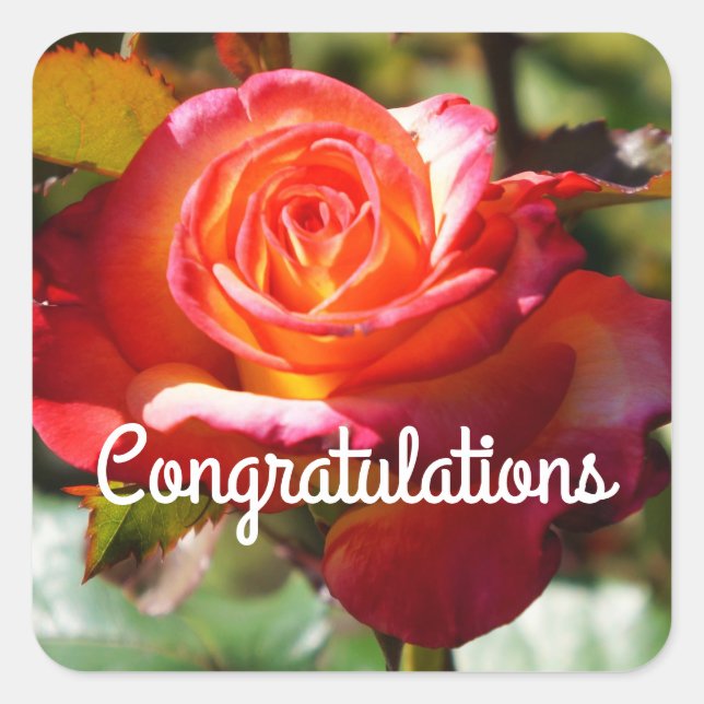 Carré Félicitations Dream Come True Rose #2 Sticker (Devant)
