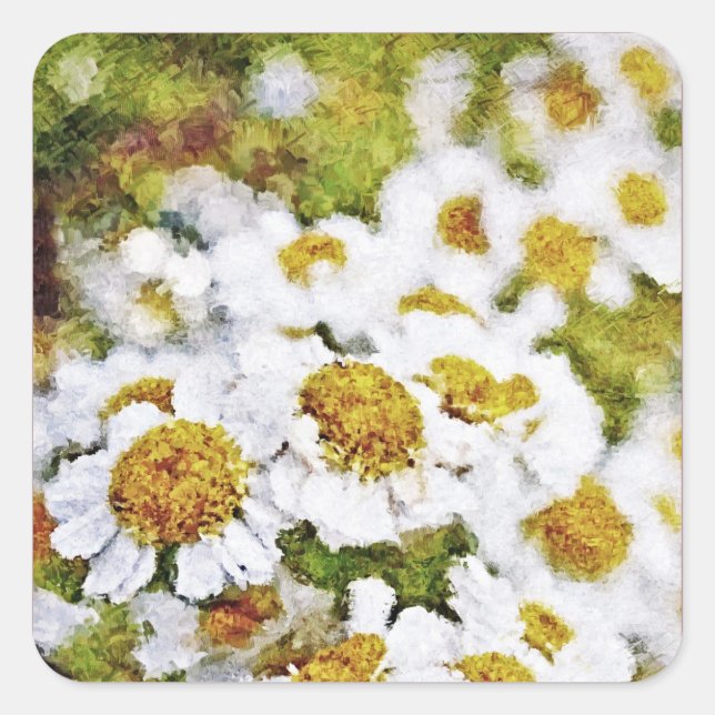 Carré Fleurs de marguerite blanche - Sticker d'art de pe (Devant)