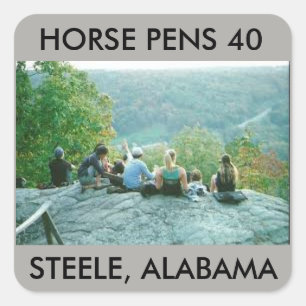 CARRÉ HORSE PENS 40 STICKER