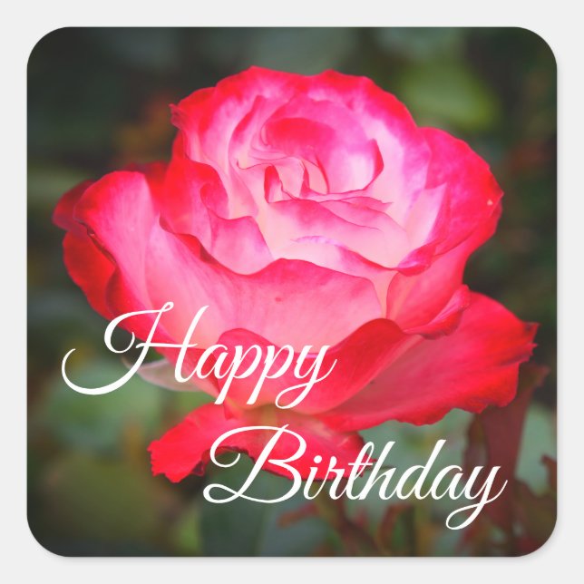 Carré Joyeux Anniversaire Cherry Parfait Rose #3 Sticker (Devant)