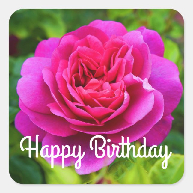 Carré Joyeux Anniversaire Princesse Anne Rose #1 Sticker (Devant)