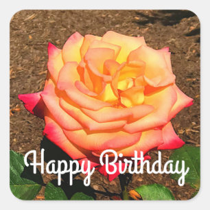 Carré Joyeux Rêve d'anniversaire Venez Véritable Sticker