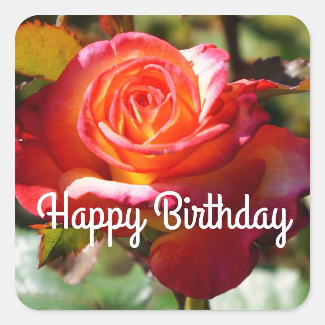 Carré Joyeux Rêve d'anniversaire venez Véritable Sticker (Devant)