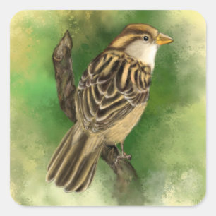 Carré Little Sparrow Sticker