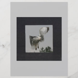 Carré noir sur cadre photo gris