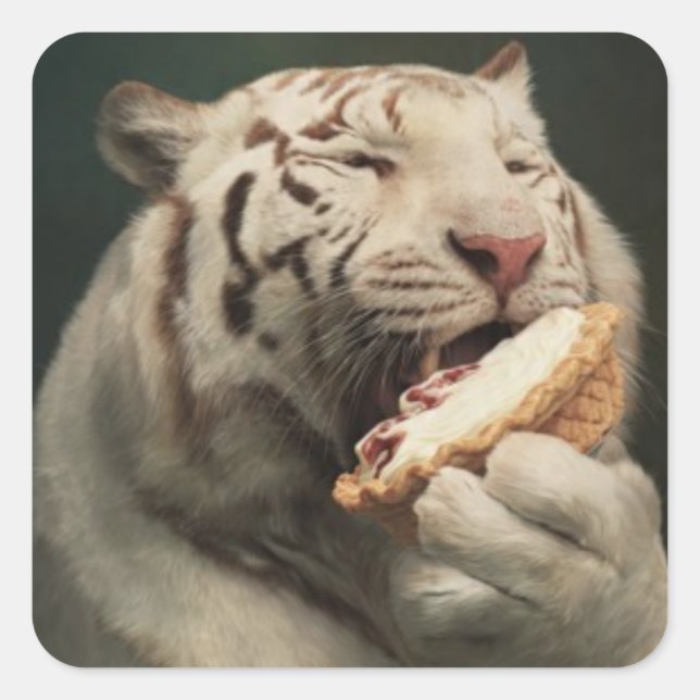 Carré Pie-Loving White Tiger – Fun Sticker (Devant)